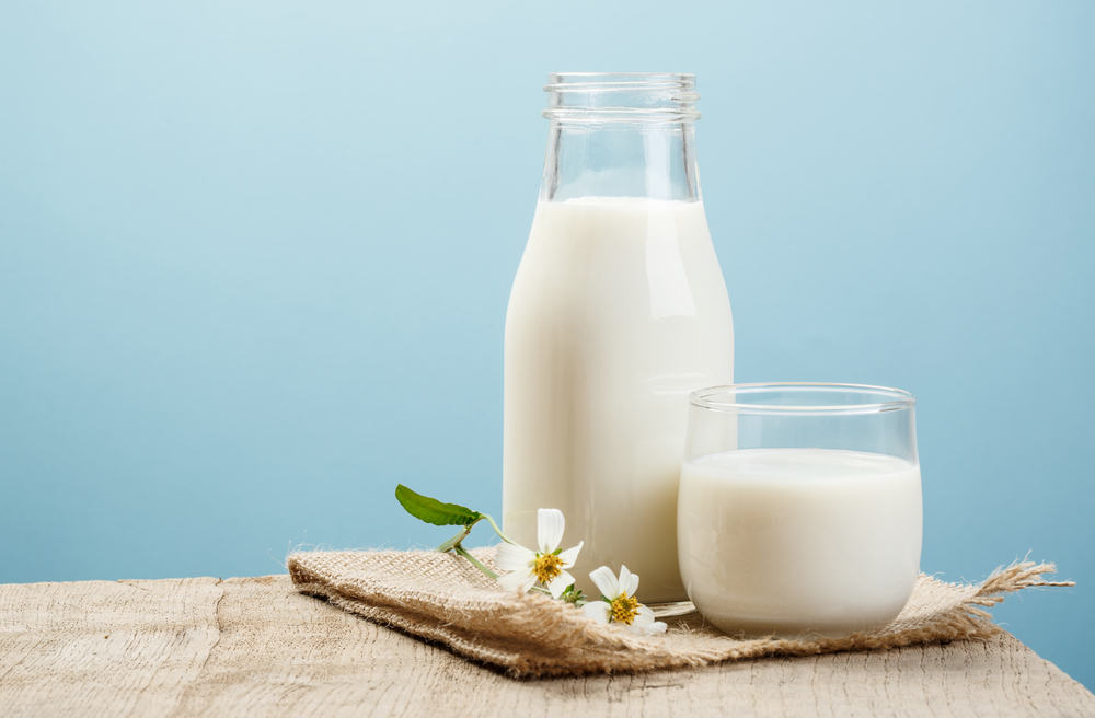 myte om mælk