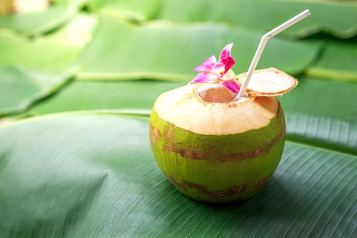 fordele af kokos til kosten
