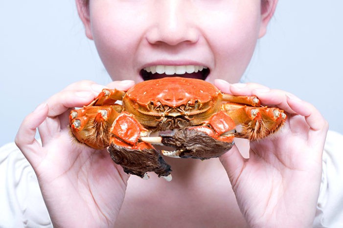 Spis krabbe, når gravid