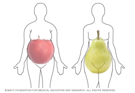 kropsform af æbler og pærer