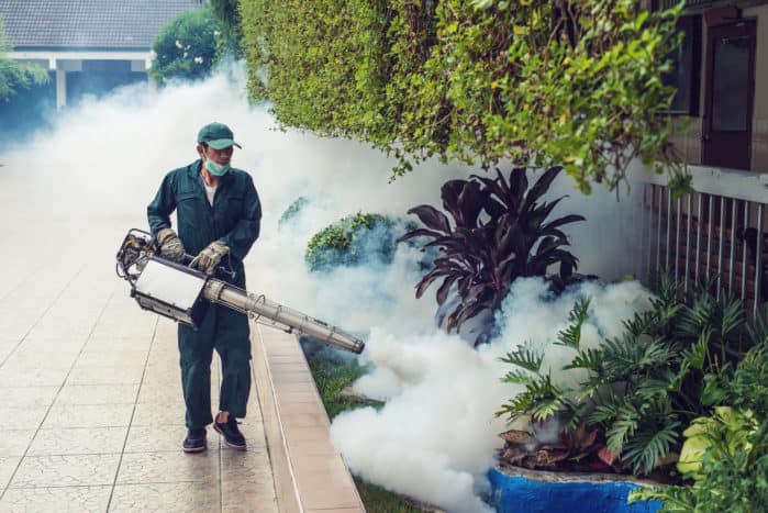 tåge gas i dengue myg