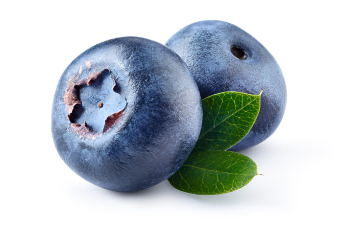 blåbær frugt