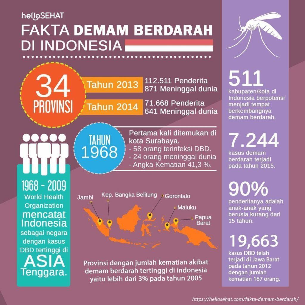 dengue feber hellosehat i Indonesien