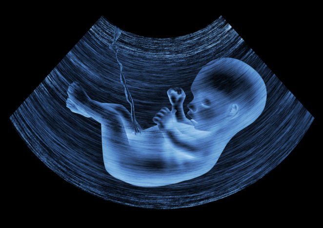fosterudvikling i livmoderen