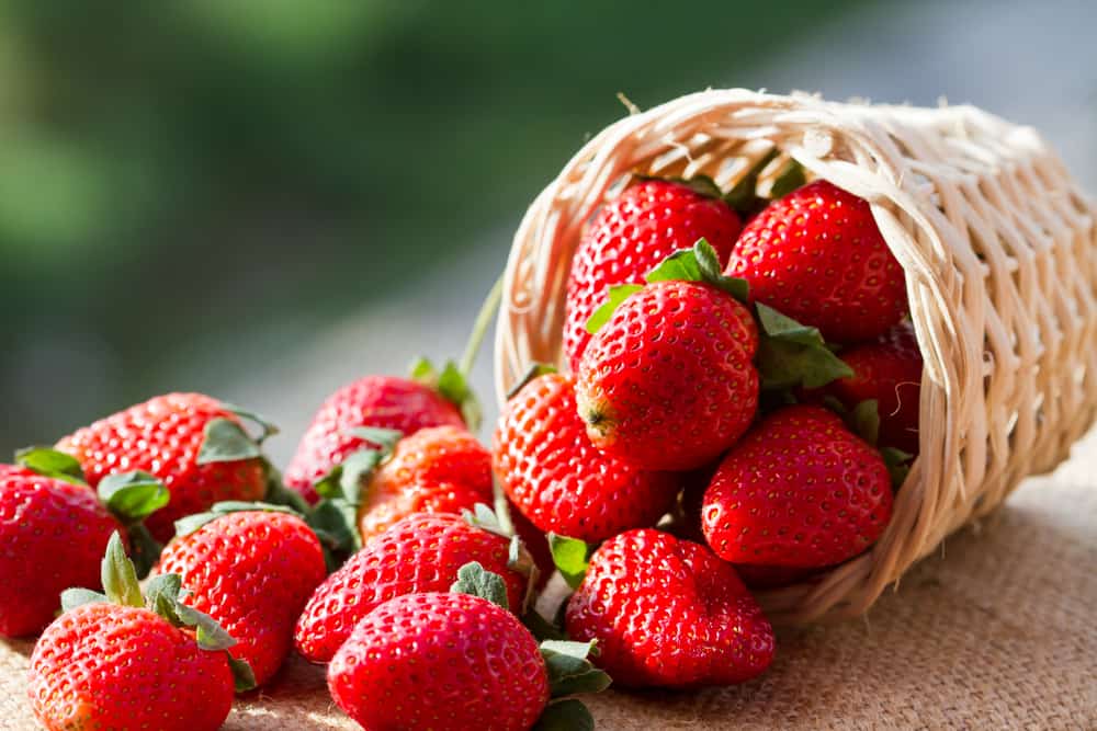 fordelene ved jordbær frugt